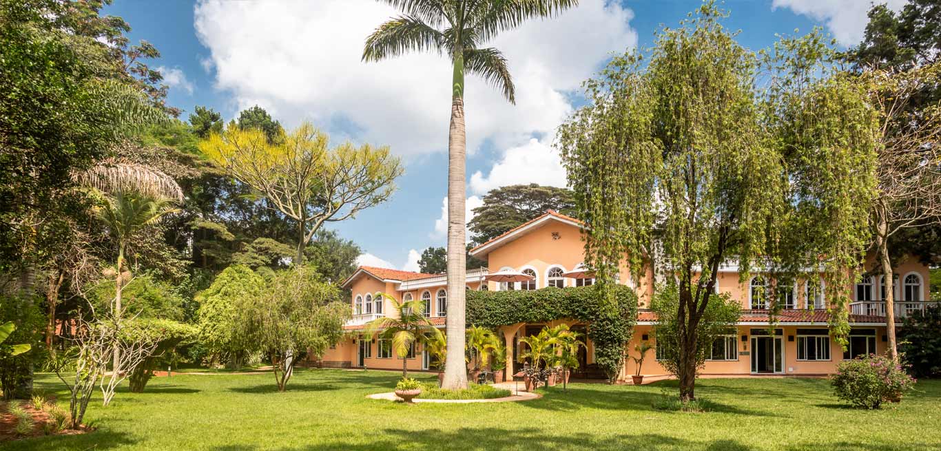 Tranquility In Nairobi banner